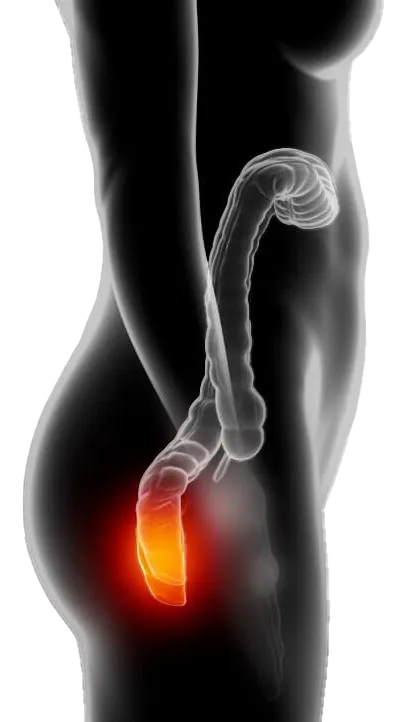 Homeopathy Treatment